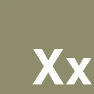 plakat: Bogstav Xx - misty forrest 60