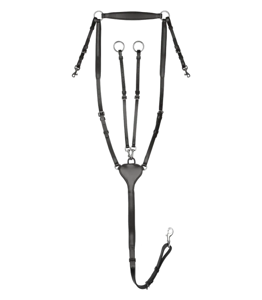 Waldhausen X-Line Fortøj m/Martingale Master Sort