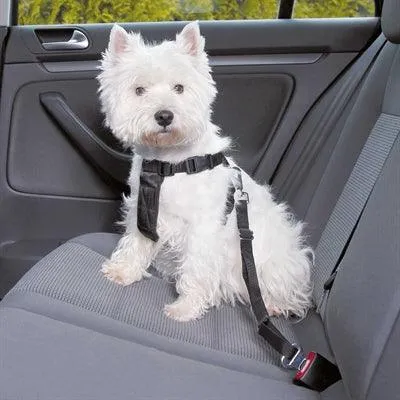 Trixie Hondentuig Auto Inclusief Gordel Zwart – XS t/m XXL