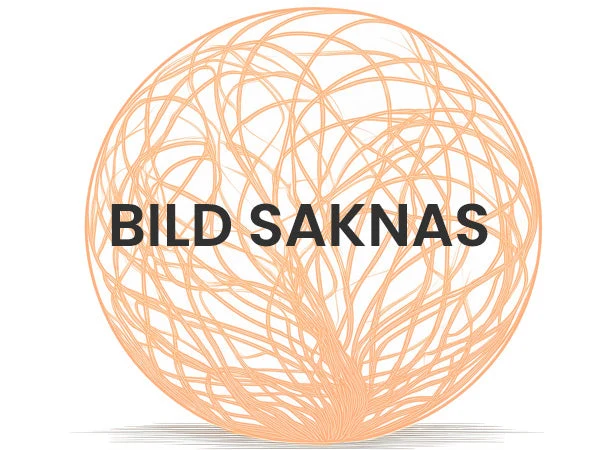 Styrekontrol BMW