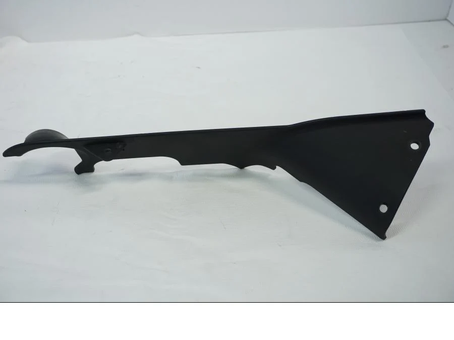 Sidepanel Buell