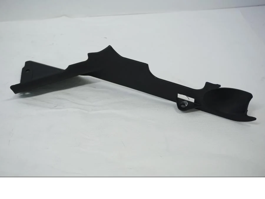 Sidepanel Buell