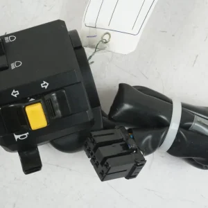 Styrekontrol Buell