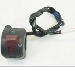 Styrekontrol Ducati