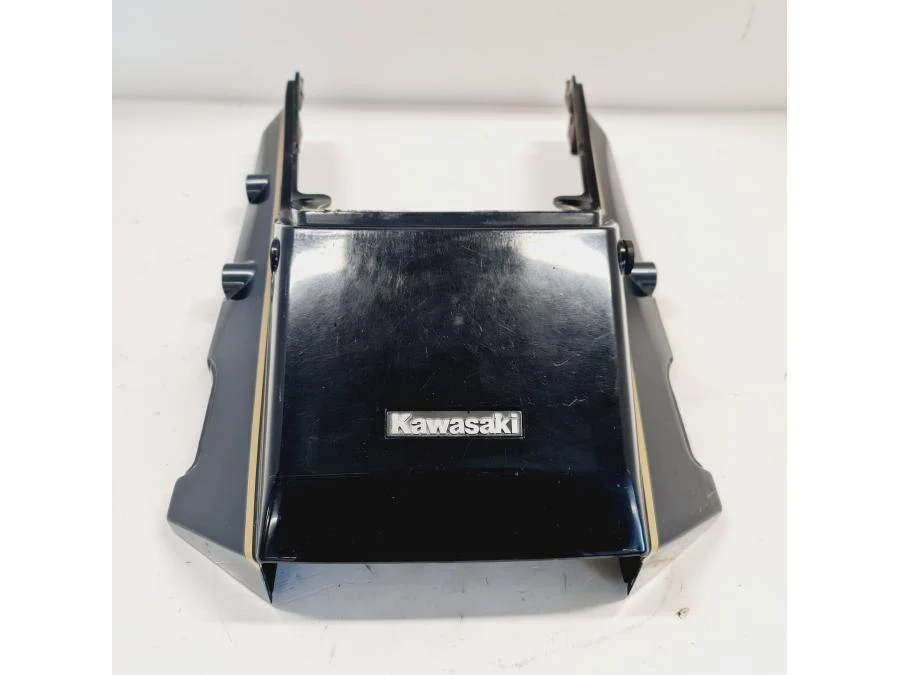 Bagvinge Kawasaki