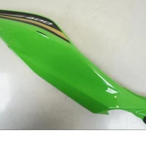 Bagvinge Kawasaki