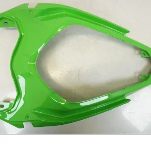 Bagvinge Kawasaki