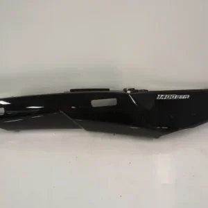 Bagvinge Kawasaki
