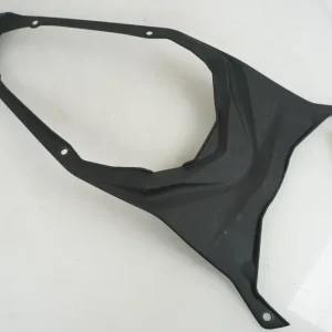 Bagvinge Kawasaki