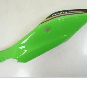 Bagvinge Kawasaki