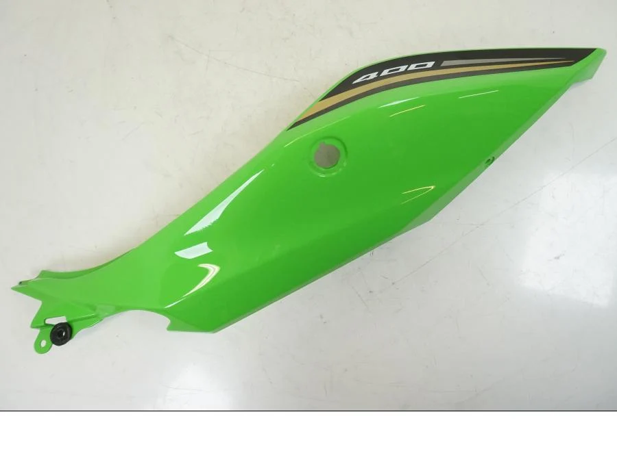 Bagvinge Kawasaki