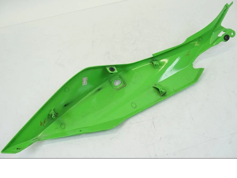 Bagvinge Kawasaki