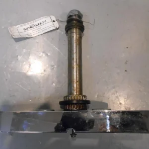 Gaffelkrona Kawasaki