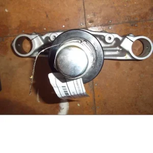 Gaffelkrona Kawasaki