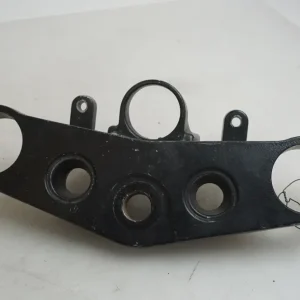 Gaffelkrona Kawasaki