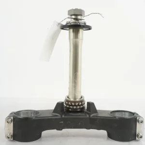 Gaffelkronen Kawasaki