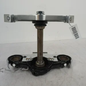 Gaffelkronen Kawasaki