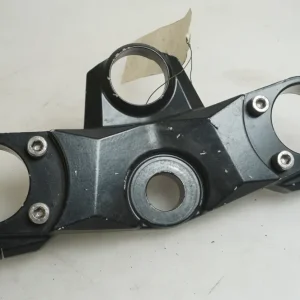 Gaffelkronen Kawasaki