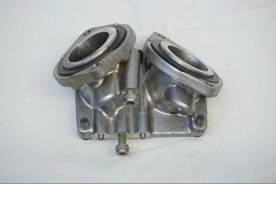 Indtag Kawasaki