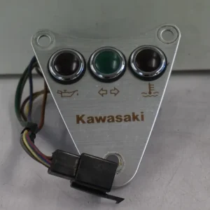 Kontrollamper Kawasaki