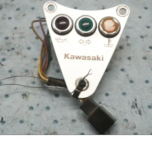 Kontrollamper Kawasaki
