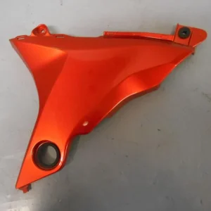 Sidepanel Kawasaki
