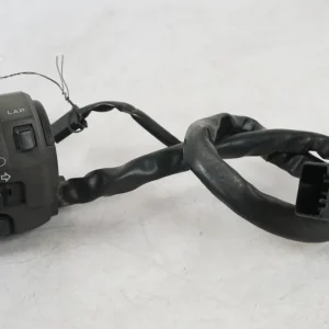 Styrekontrol Kawasaki