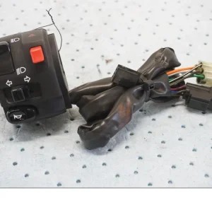Styrekontrol Kawasaki