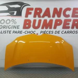 HÆTTE RENAULT TWINGO 3 NY GUL MANGO
