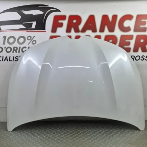 Motorhjelm til Renault Clio 5 Fase 1 (Fra april 2019) – Original brugt del