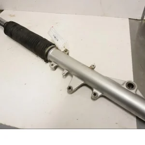 Gaffelben Triumph