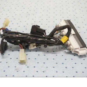 Instrumentkabel Triumph