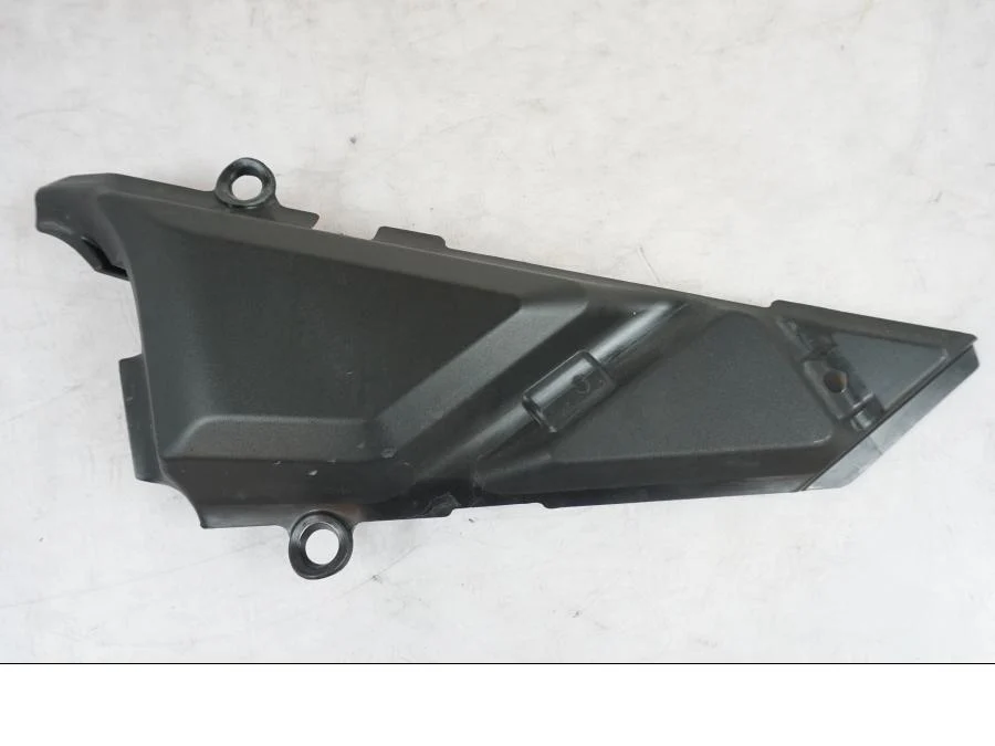 Sidepanel Triumph