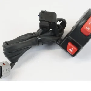 Styrekontrol Triumph