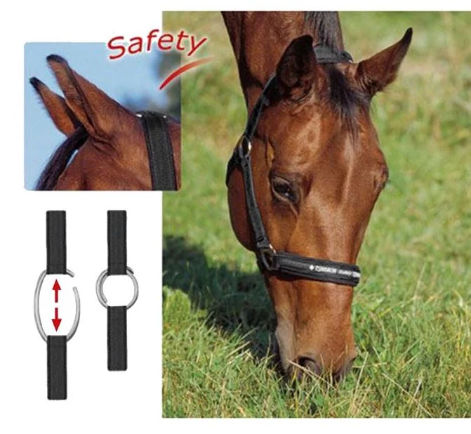 Eskadron Safety Grime - OUTLET 24-Month Shelf Life Navy